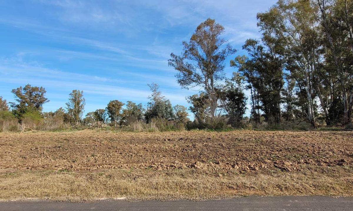 Venta Lote Barrio cerrado Pinares CC, etapa3, Exaltacion de la Cruz, GBA, Zona Norte