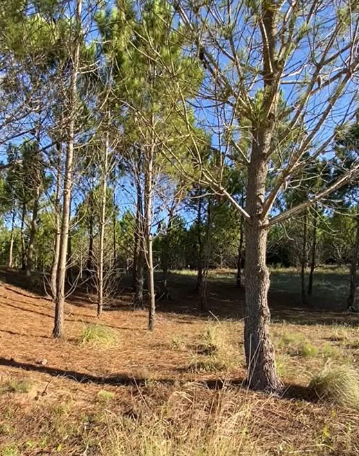 Venta Lote Maritimo 3 - Costa Esmeralda 3