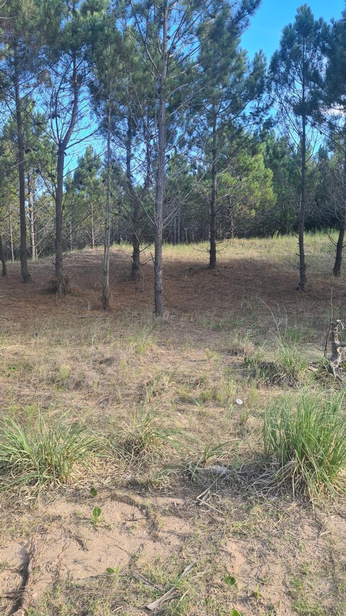 Venta Lote Maritimo 3 - Costa Esmeralda 2