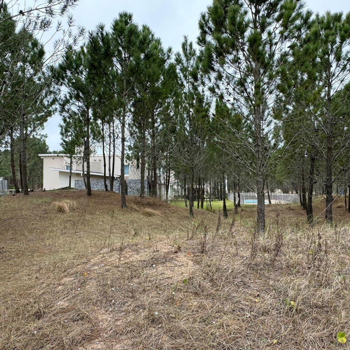 Venta Lote Maritimo 3 - Costa Esmeralda 4