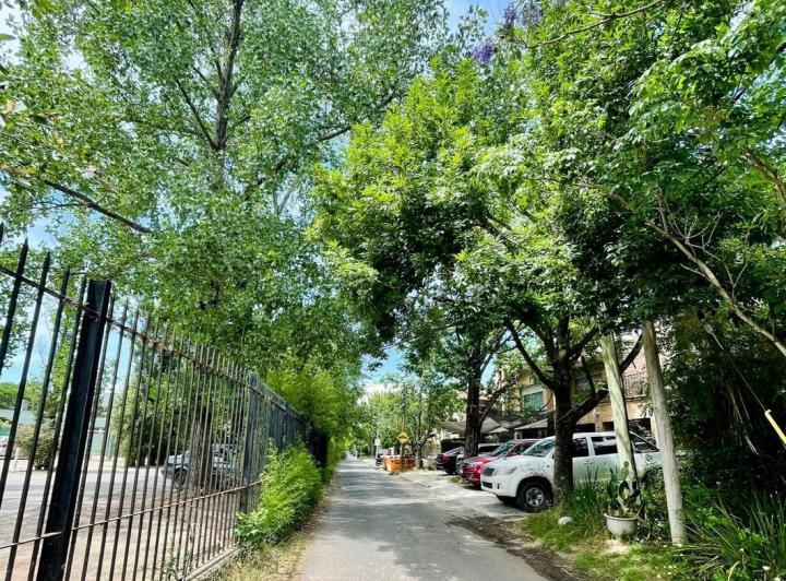 Casa en  San Isidro Joven 3
