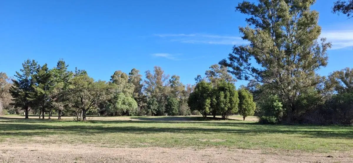 Venta Lote al Golf Barrio cerrado Pinares, etapa 2. Exaltación de la Cruz, Zona Norte, GBA 5