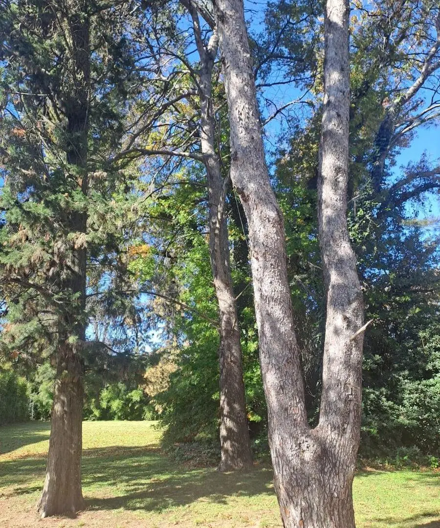 Terreno en Barrio Santa Paula 4