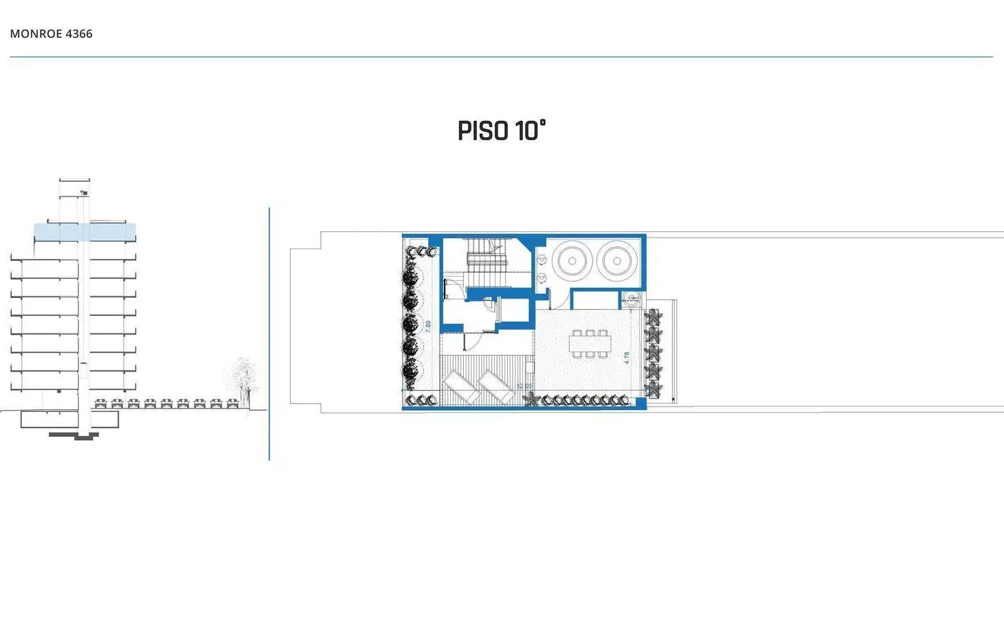Plano 6