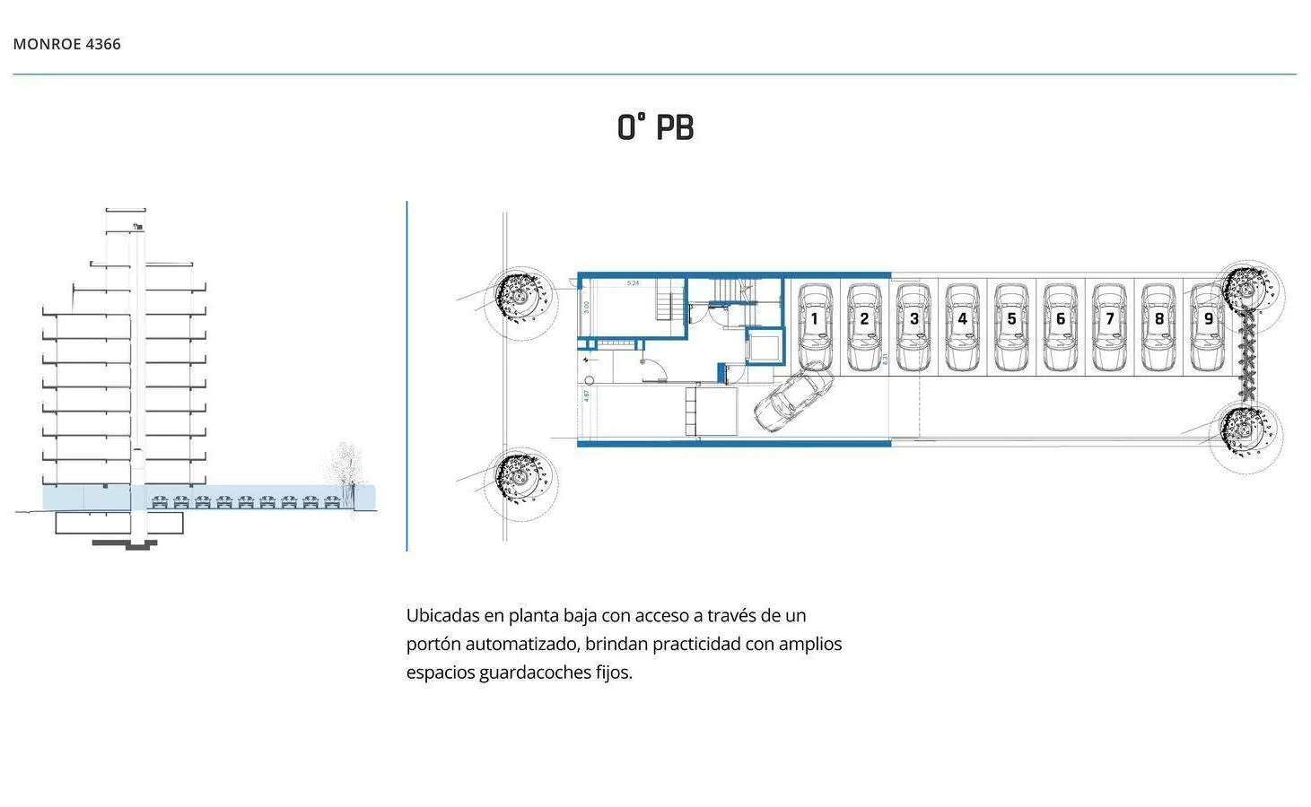 Plano 6