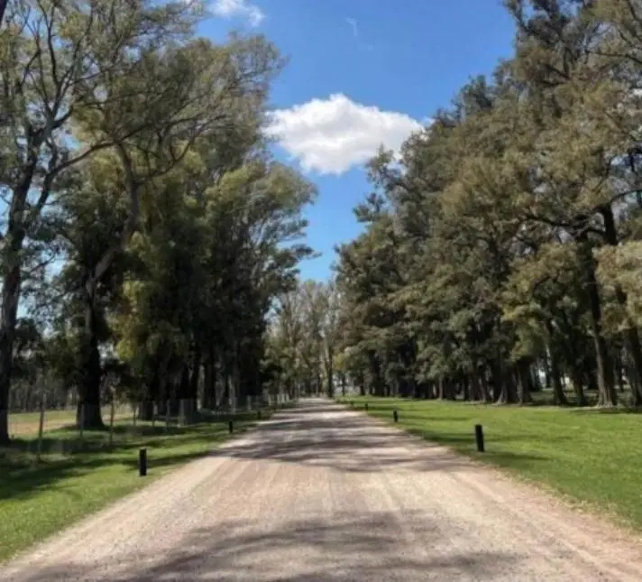 Terreno en Los Tres Pinos 2