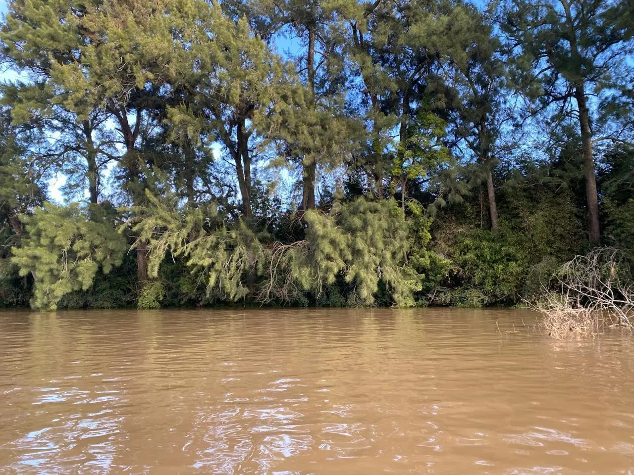 Terreno en Zona Delta Tigre 2