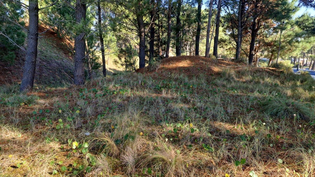 Foto de Venta lote 1100m2, Costa Esmeralda, Zona Deportiva, Pinamar, Costa, imagen 3