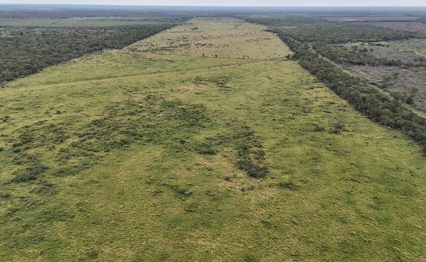 Foto de Campo en IBARRETA, Formosa, imagen 1
