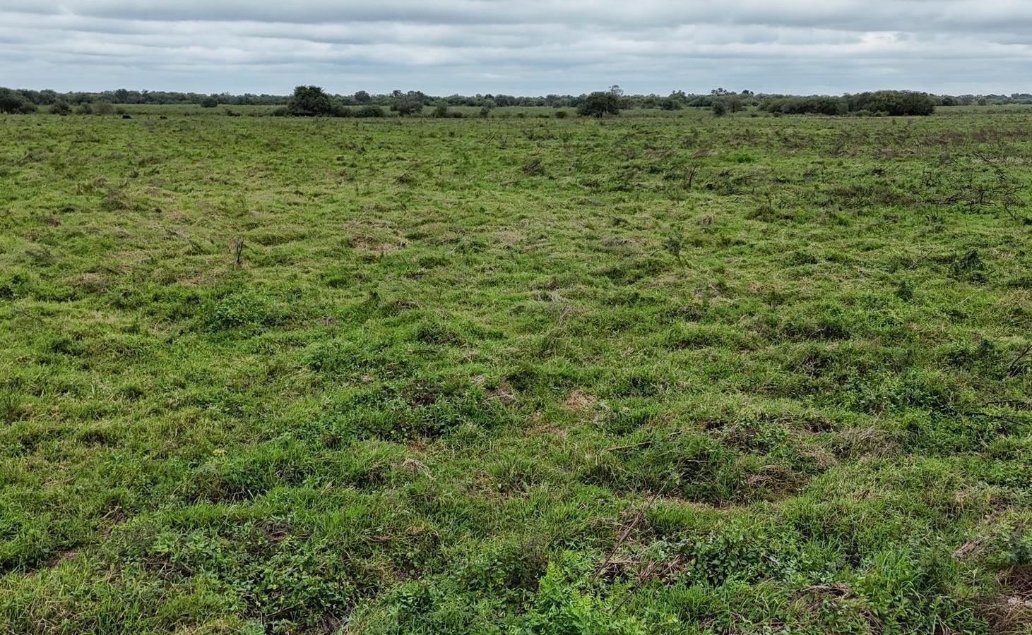 Foto de Campo en IBARRETA, Formosa, imagen 4