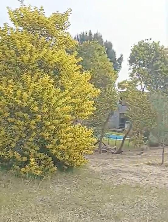 Foto de Terreno en Golf 1, imagen 3