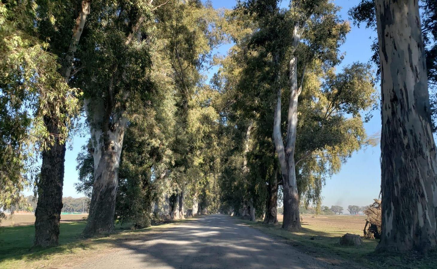 Foto de Terreno en Barrio Cerrado Tres Pinos, imagen 3