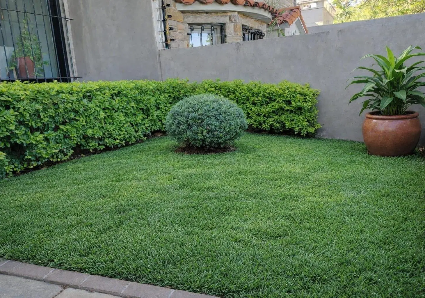 Casa de dos pisos hecha a nuevo 5 amb 300m2 500m2 lote.Parque Pileta 2