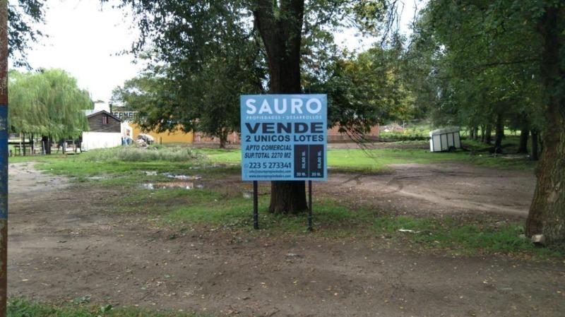 Foto de VENTA LOTES COMERCIALES SIERRA DE LOS PADRES, imagen 2