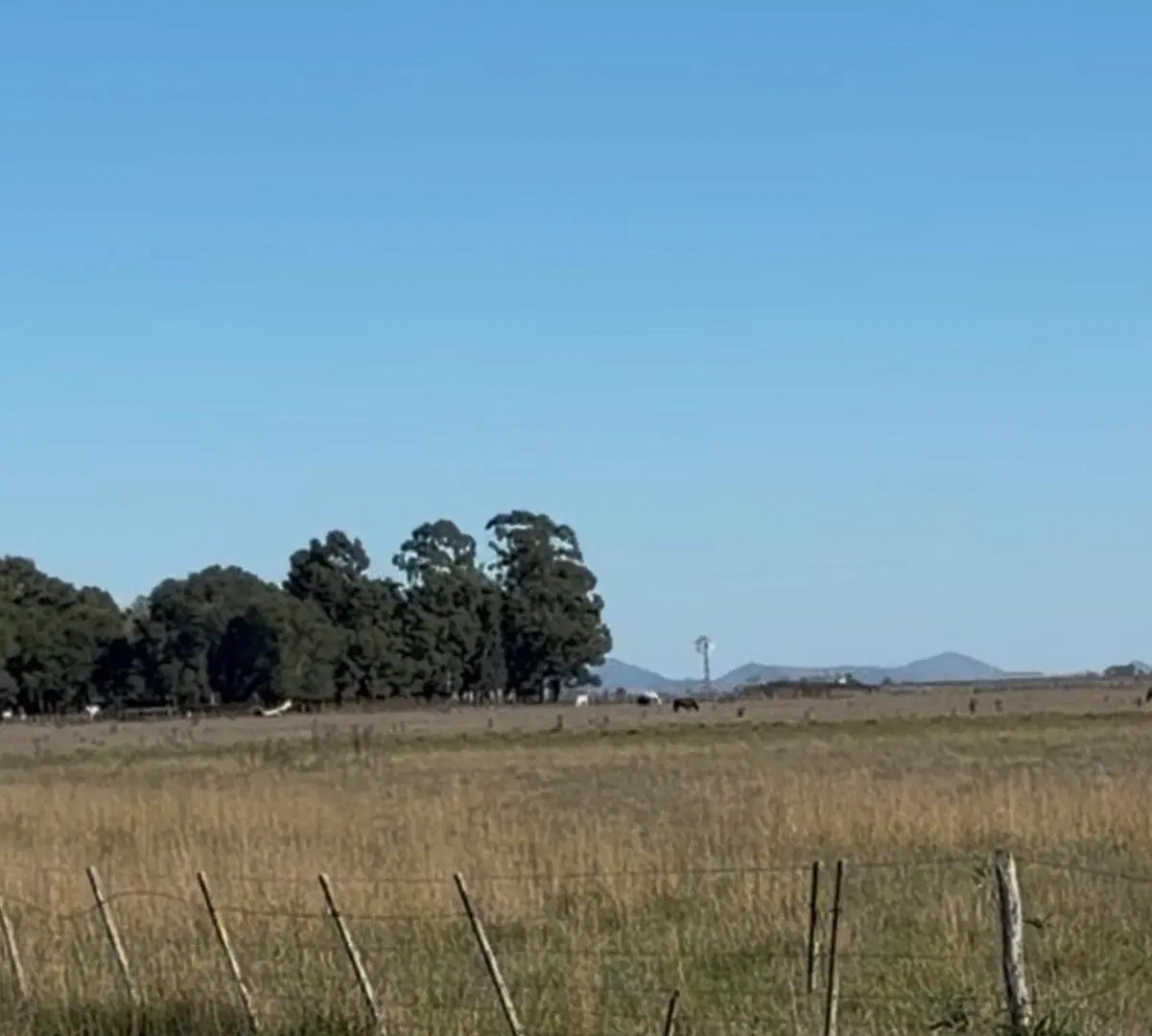 Rancho en Venta en Balcarce 4