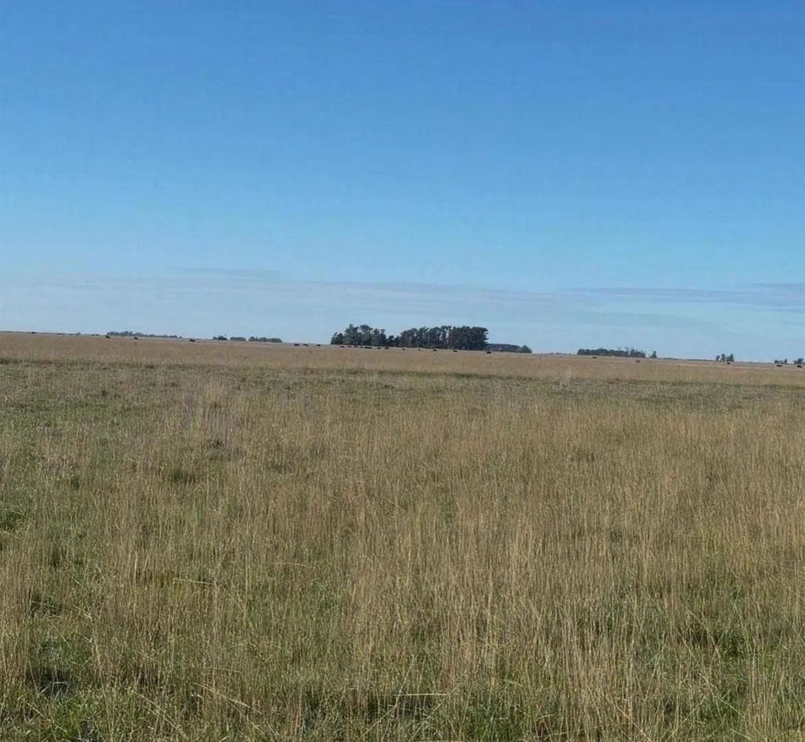 Rancho en Venta en Balcarce 3