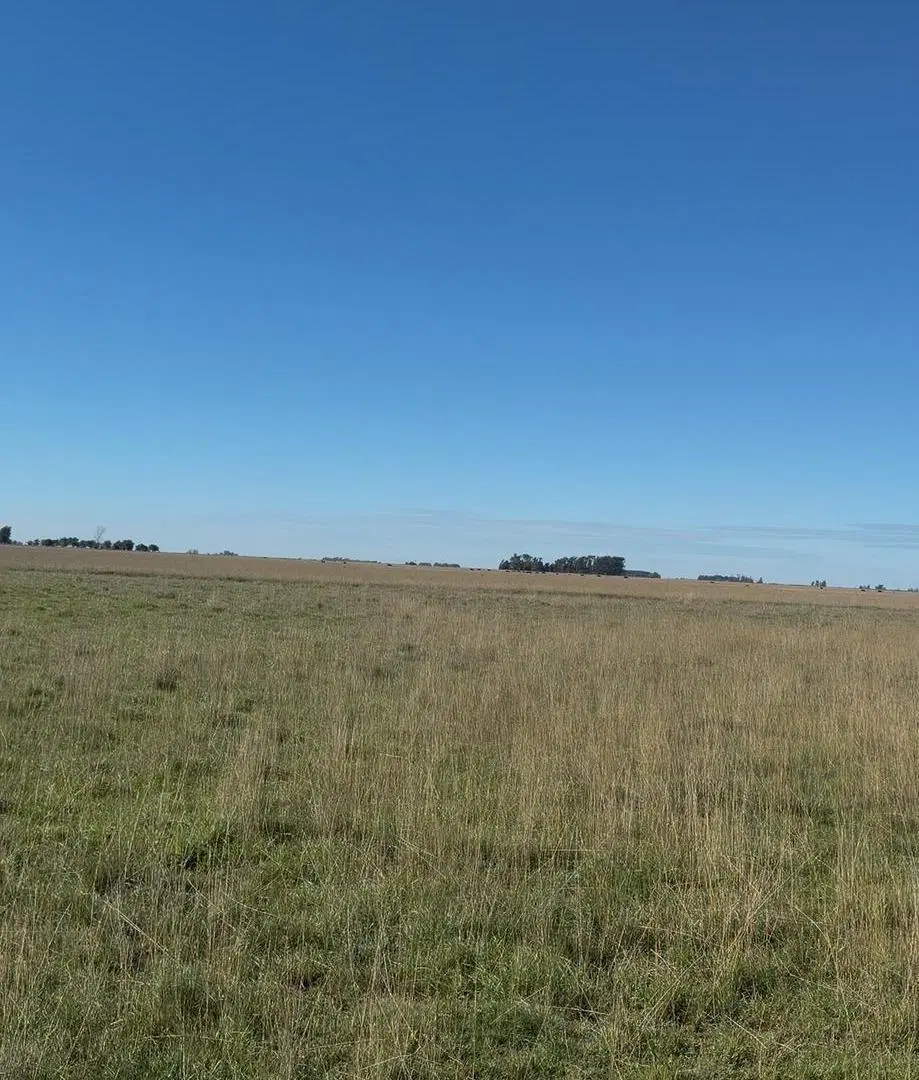 Rancho en Venta en Balcarce 2