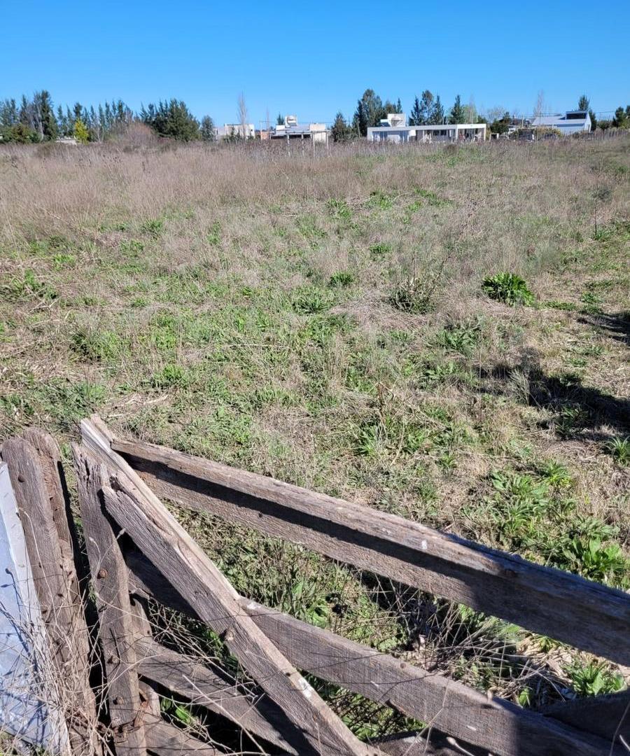 Foto de Terreno en Las Luciérnagas 141 639 y 641, imagen 1