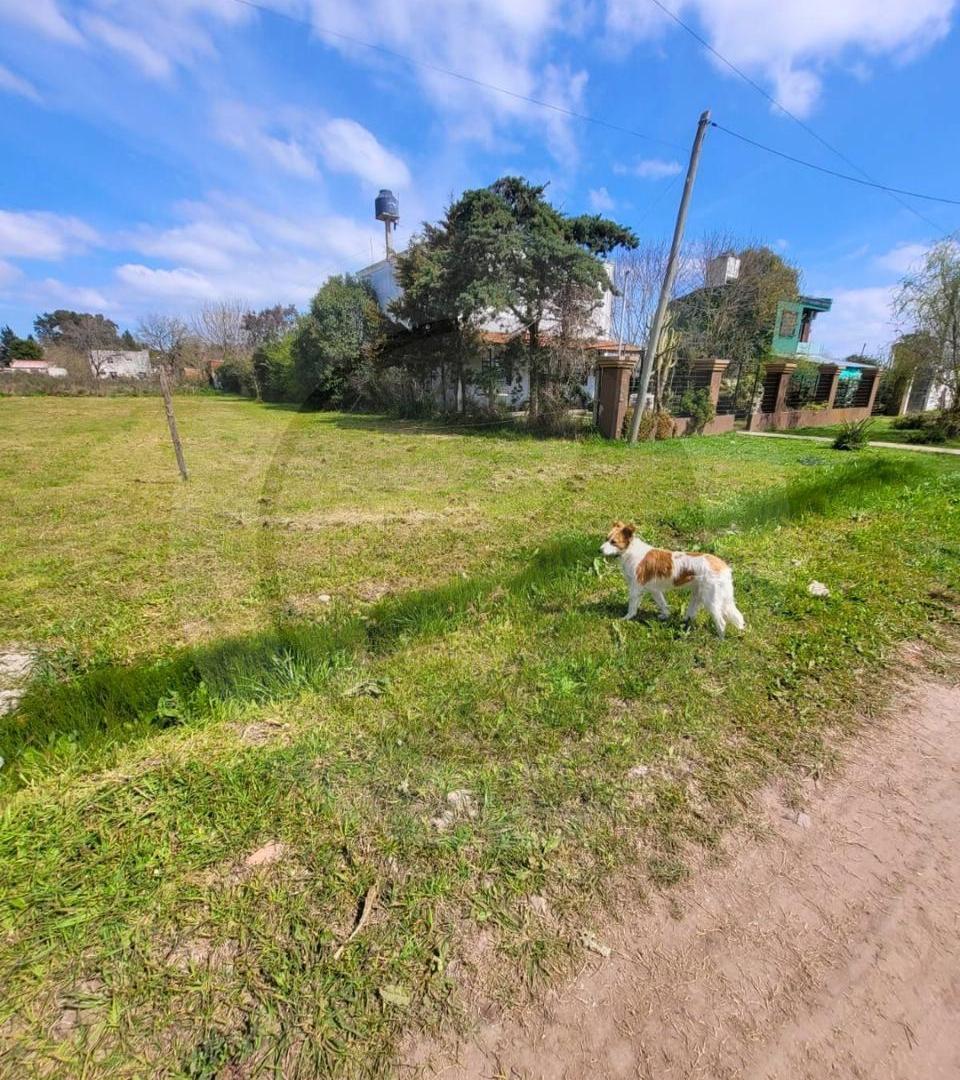 Foto de Terreno en Melchor Romero, imagen 4