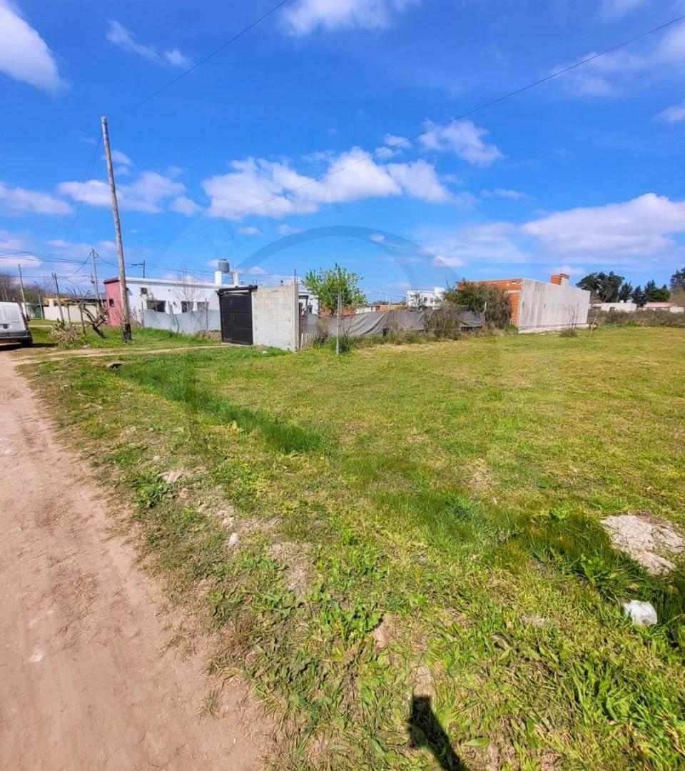 Foto de Terreno en Melchor Romero, imagen 3