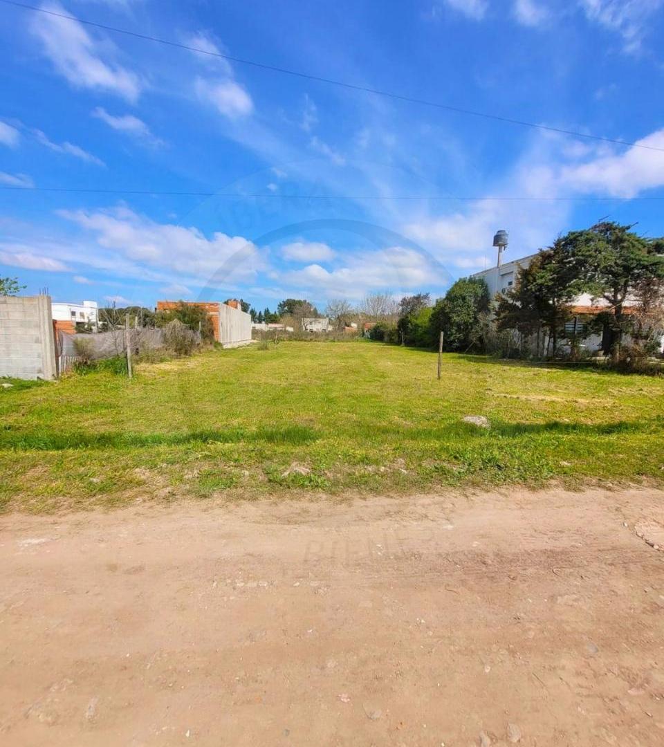 Foto de Terreno en Melchor Romero, imagen 5
