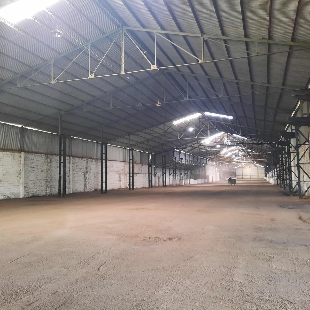 Ruta 21 - Alvear - Galpón 3.000 m². 3
