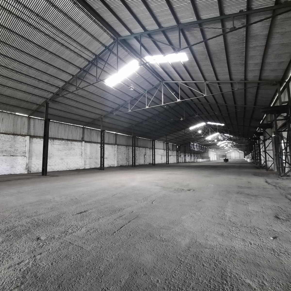 Ruta 21 - Alvear - Galpón 3.000 m². 2