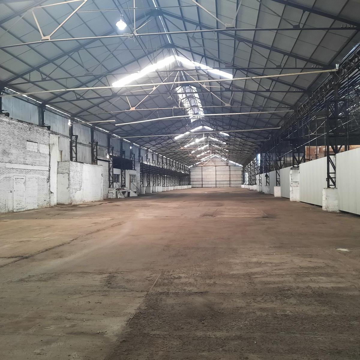 Ruta 21 - Alvear - Galpón 3.000 m². 5