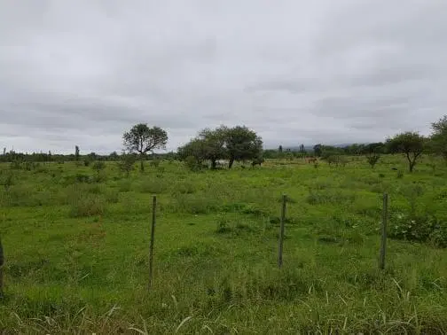 Terreno en Nono 4