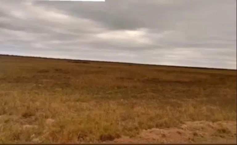 Venta de Campo agrícola ganadero Santiago del Estero 5
