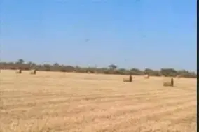 Venta de Campo agrícola ganadero Santiago del Estero 4