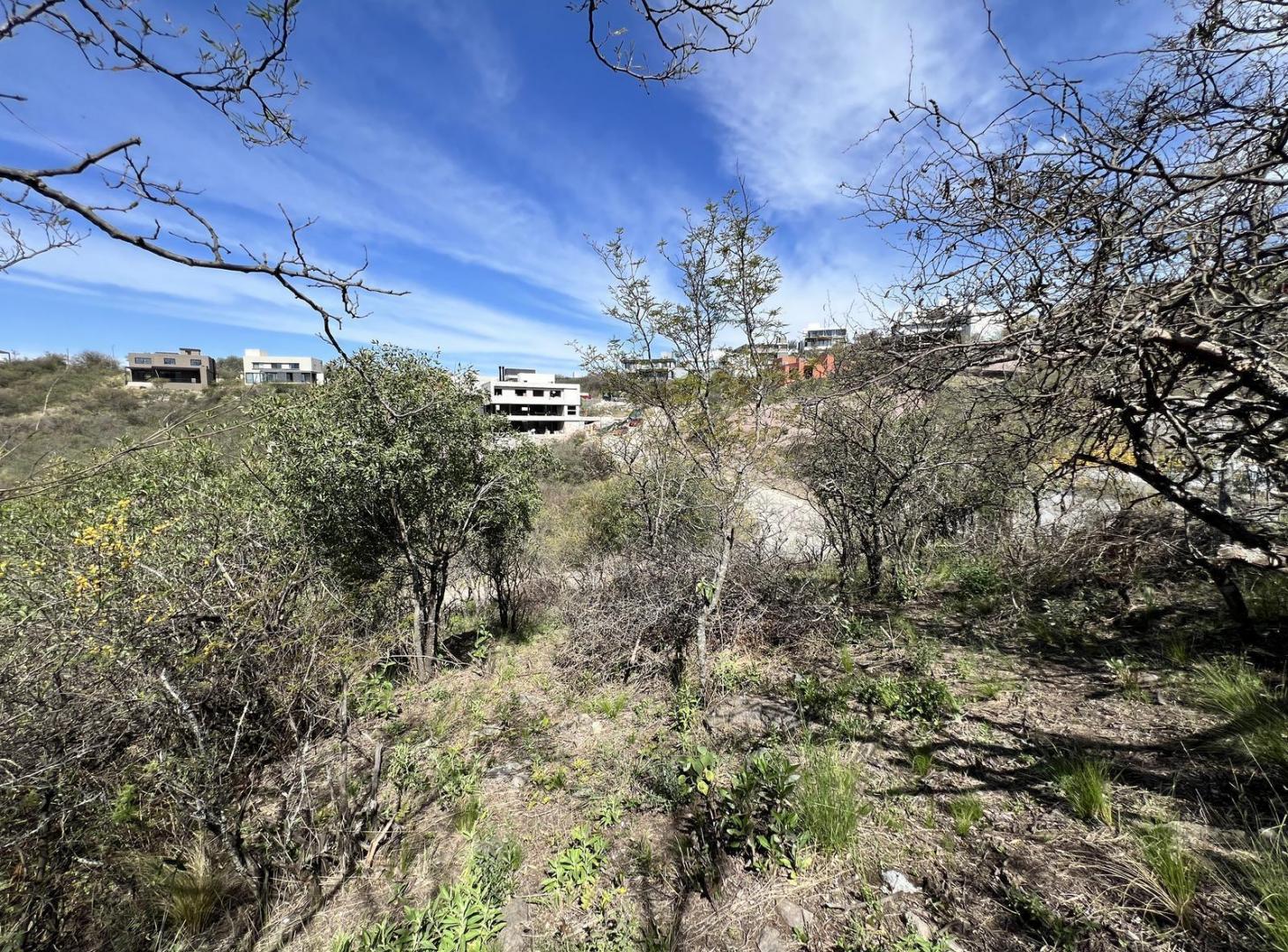 Foto de Lote en venta en La Deseada, imagen 5