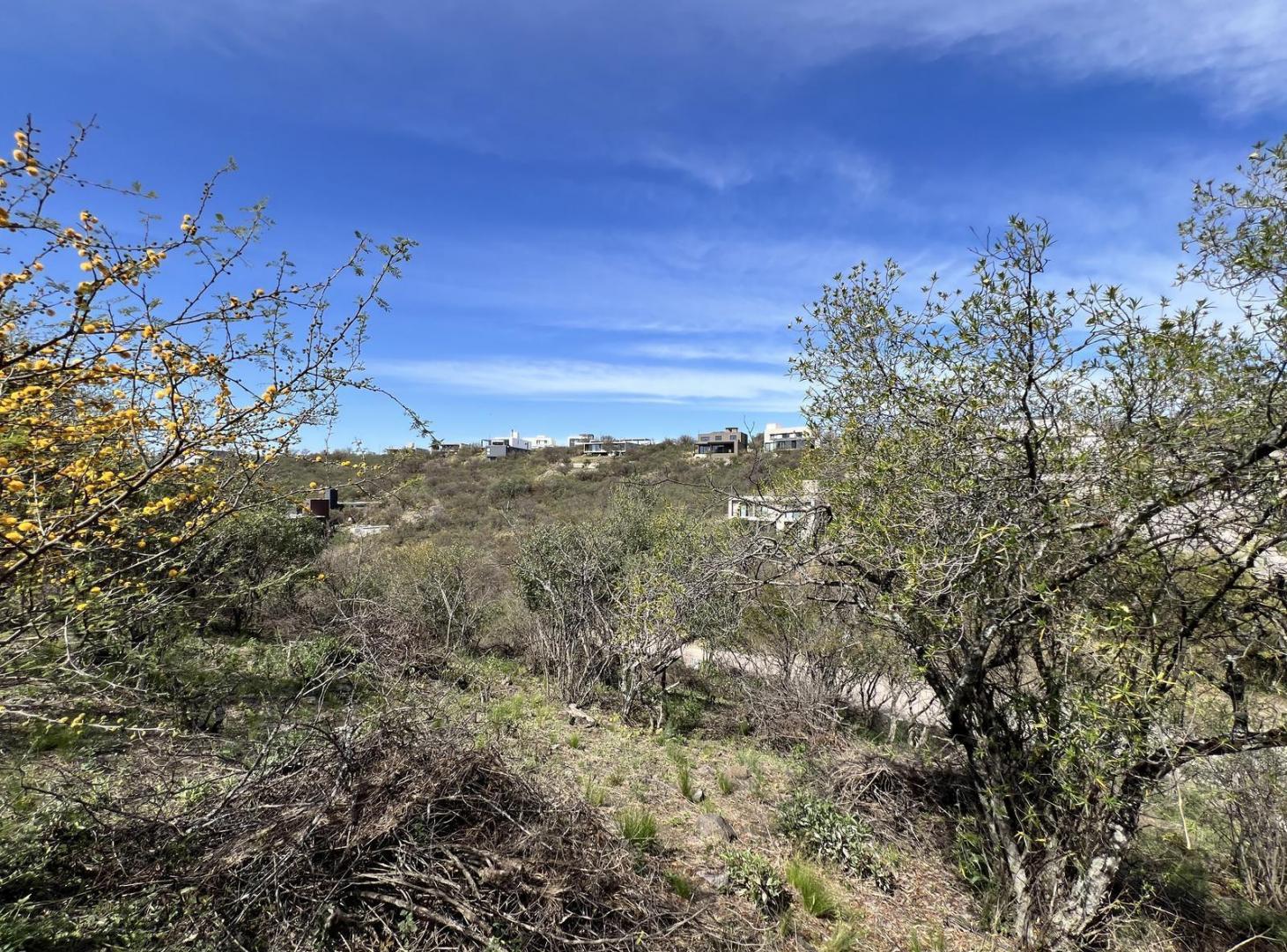 Foto de Lote en venta en La Deseada, imagen 3