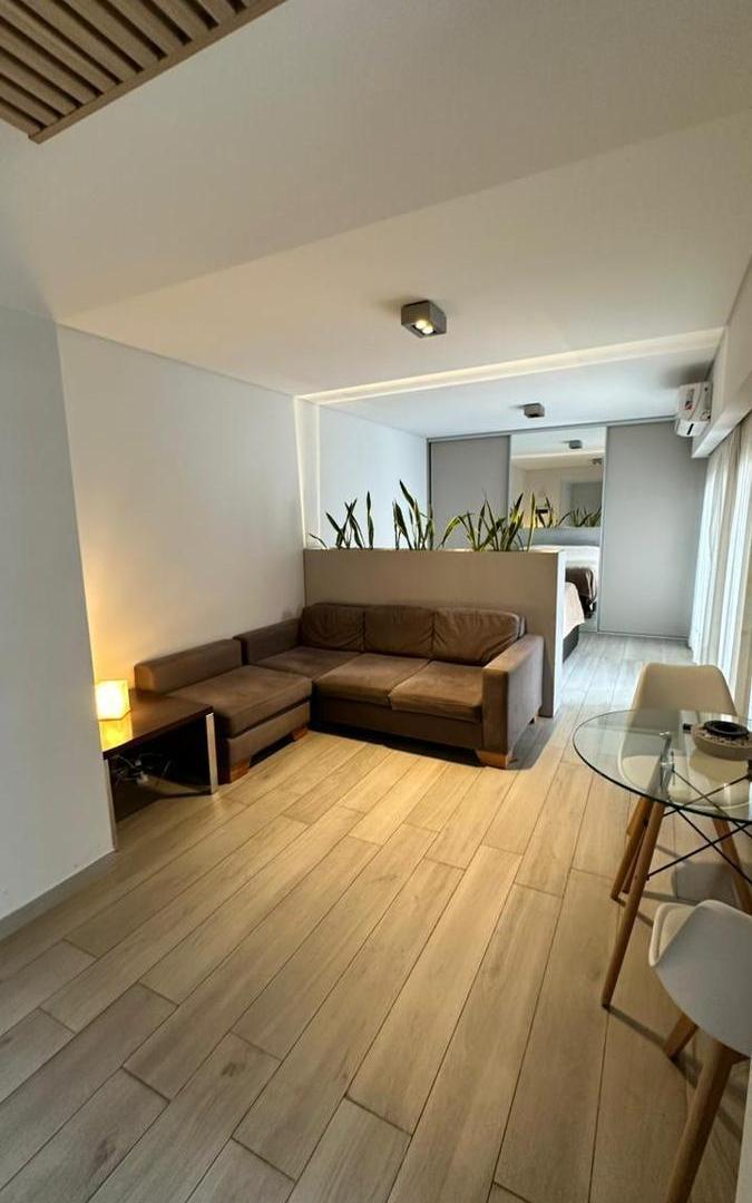 Foto de MONOAMBIENTE EN ALQUILER ZONA RIO AMENITIES, imagen 5