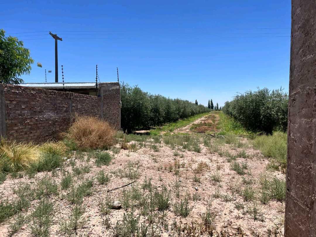 ¡Oportunidad Imperdible! Venta de Casa a Terminar en Maipú, Mendoza 4
