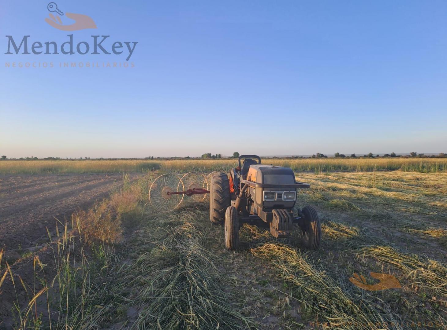 Foto de Finca en La Central Rivadavia, imagen 4