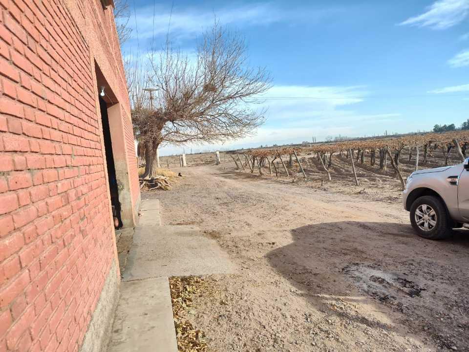 Foto de VENTA DE FINCA 50 HAS EN EL MIRADOR, RIVADAVIA, MZA ., imagen 2