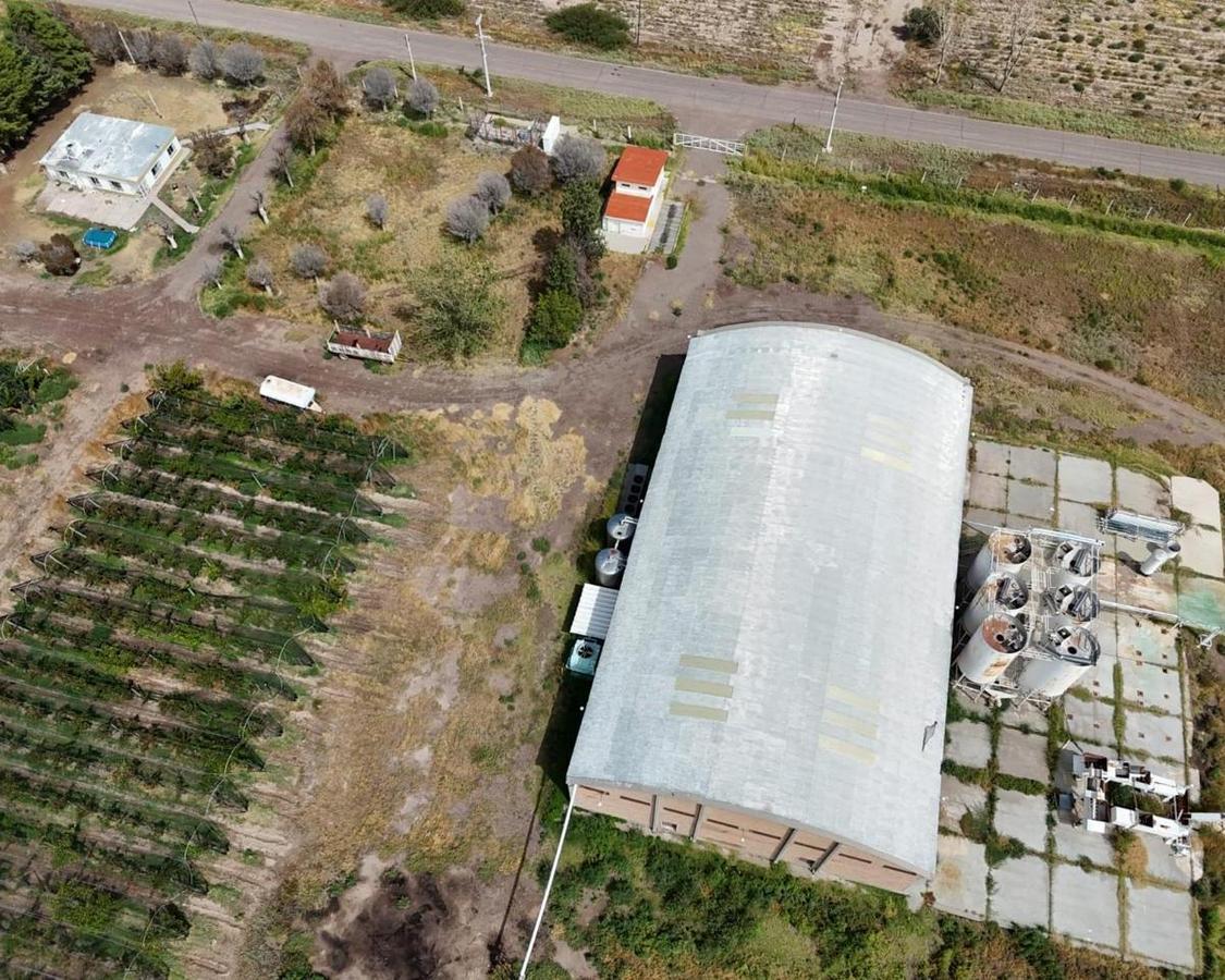 Foto de VENTA DE 176 HAS- FINCA CON BODEGA EN PRODUCCIÓN- SANTA ROSA, MZA, imagen 2