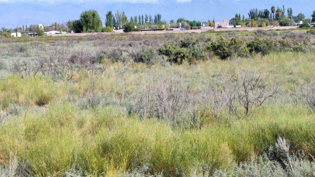 Foto de VENTA DE EXCELENTE FINCA 8.1 HAS EN LOS CORRALITOS, GUAYMALLÉN-MZA., imagen 3