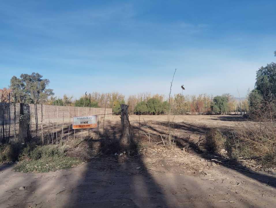 Foto de VENTA DE LOTES AMPLIOS- MAURE Y ARISTOBULO DEL VALLE, BERMEJO-GUAYMALLÉN, imagen 3