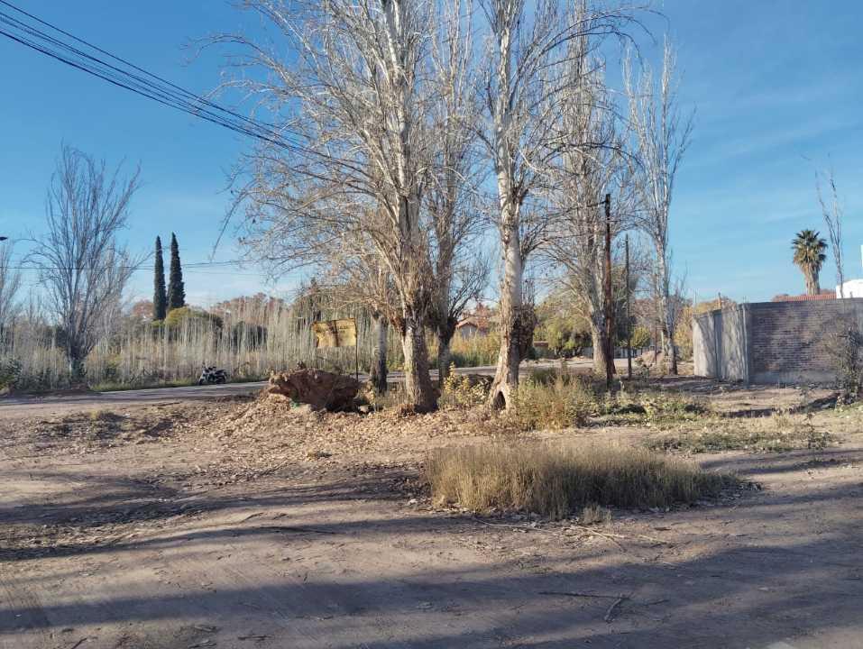 Foto de VENTA DE LOTES AMPLIOS- MAURE Y ARISTOBULO DEL VALLE, BERMEJO-GUAYMALLÉN, imagen 5