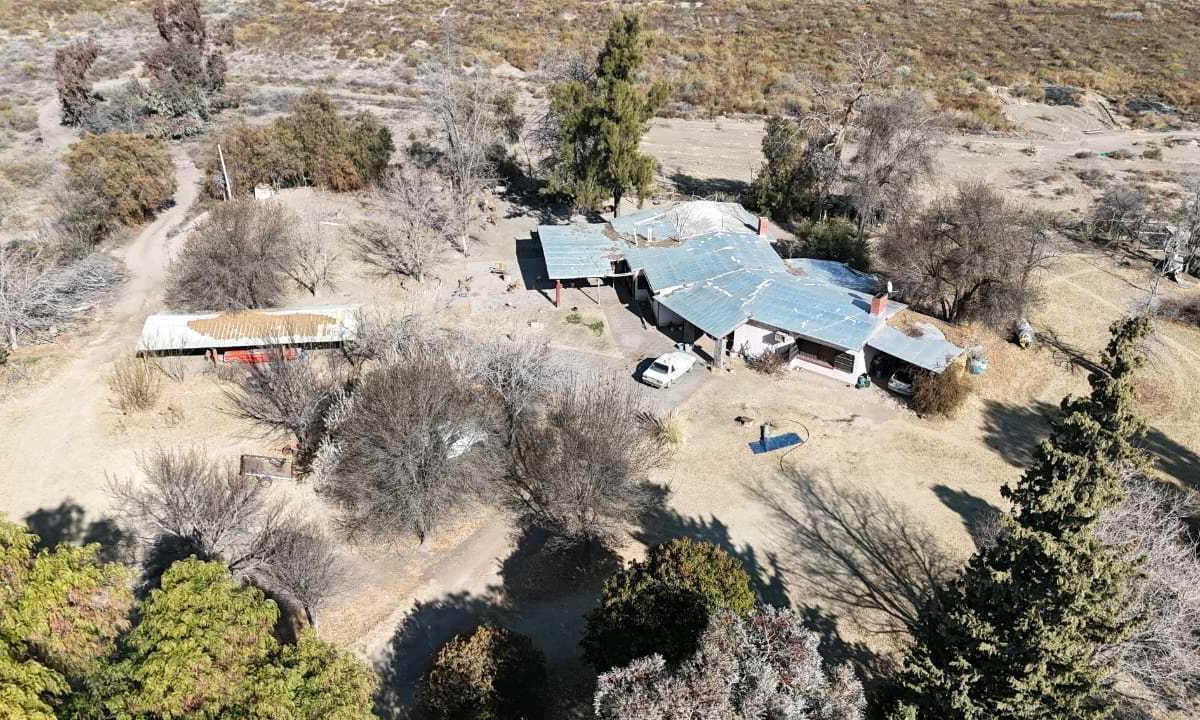 Foto de VENTA DE FINCA 60 HAS EN CALLE LA PRIMAVERA, RIVADAVIA- MENDOZA, imagen 4