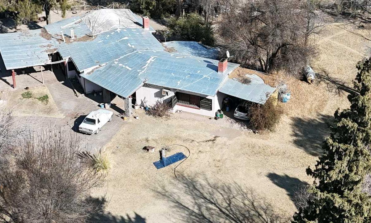 Foto de VENTA DE FINCA 60 HAS EN CALLE LA PRIMAVERA, RIVADAVIA- MENDOZA, imagen 3