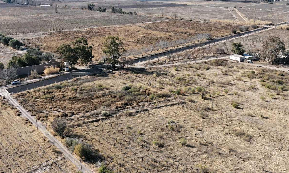 Foto de VENTA DE FINCA 60 HAS EN CALLE LA PRIMAVERA, RIVADAVIA- MENDOZA, imagen 1