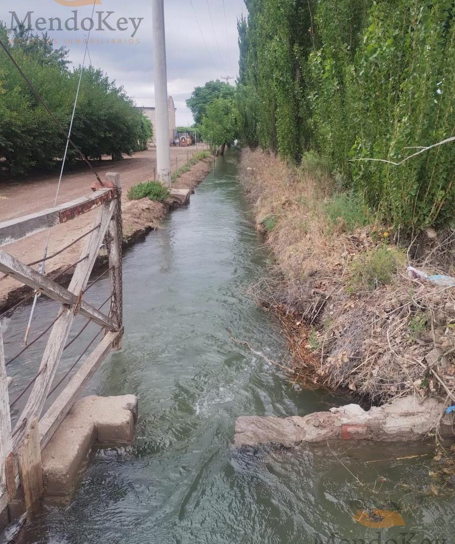 Foto de VENTA FINCA 36 HAS - LOS OTOYANES, JUNIN, MZA, imagen 2