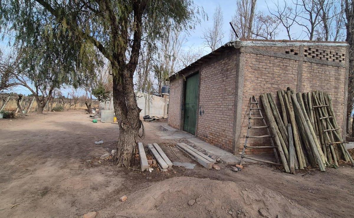 Foto de VENTA FINCA DE 72 HAS EN ISLA GRANDE, SAN ROQUE – MAIPÚ, MZA, imagen 4