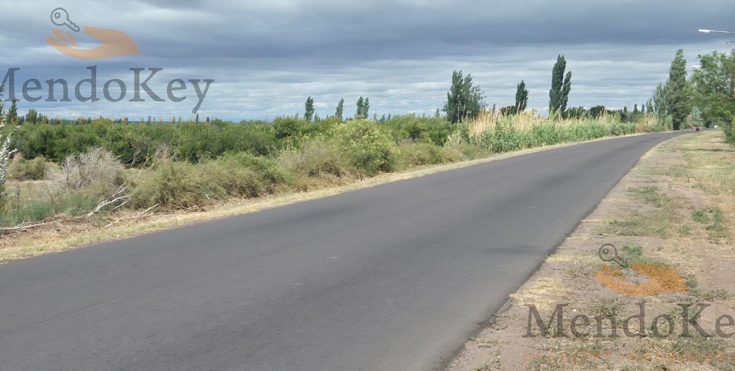 VENTA DE TERRENO EXYENSO EN ALGARROBO GRANDE JUNIN