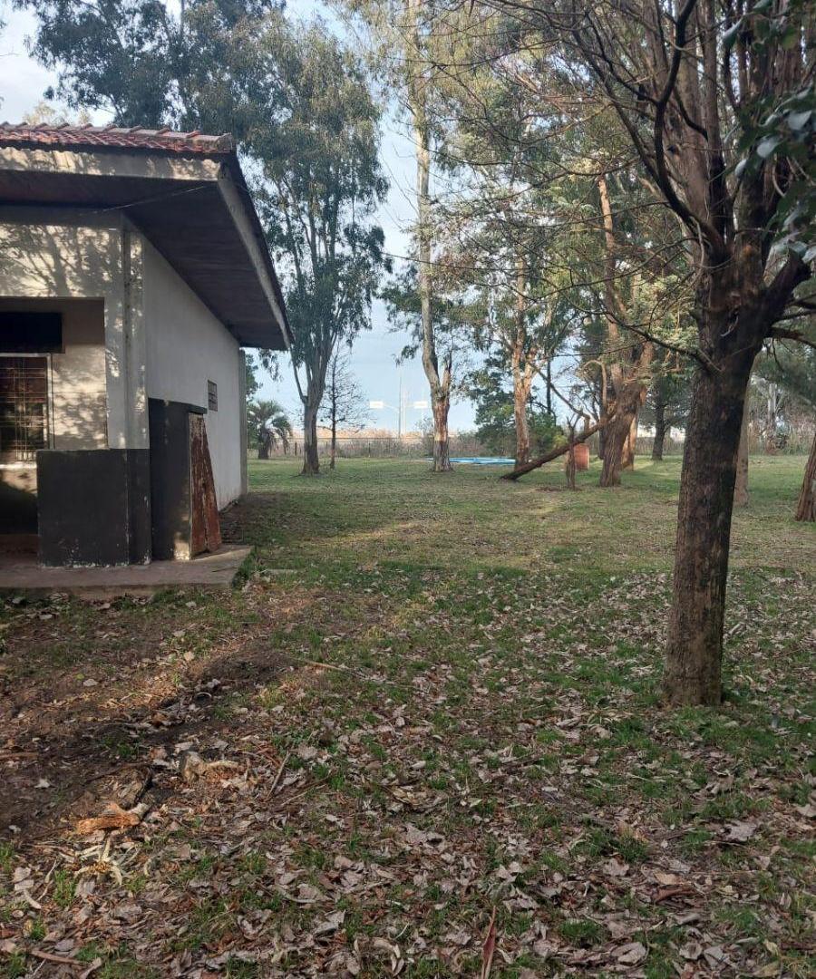 Foto de Campo en Venta - Entre Ruta Provincial 6 y 16, imagen 4