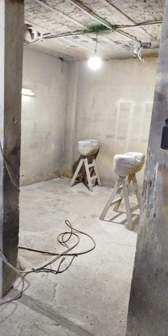 Foto de GALPON CON VIVIENDA A MEJORAR - FICHA 35, imagen 5