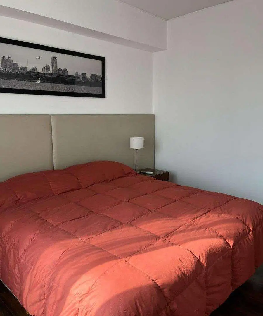 ALQUILER DEPARTAMENTO 2 AMB QUARTIER SAN TELMO 2